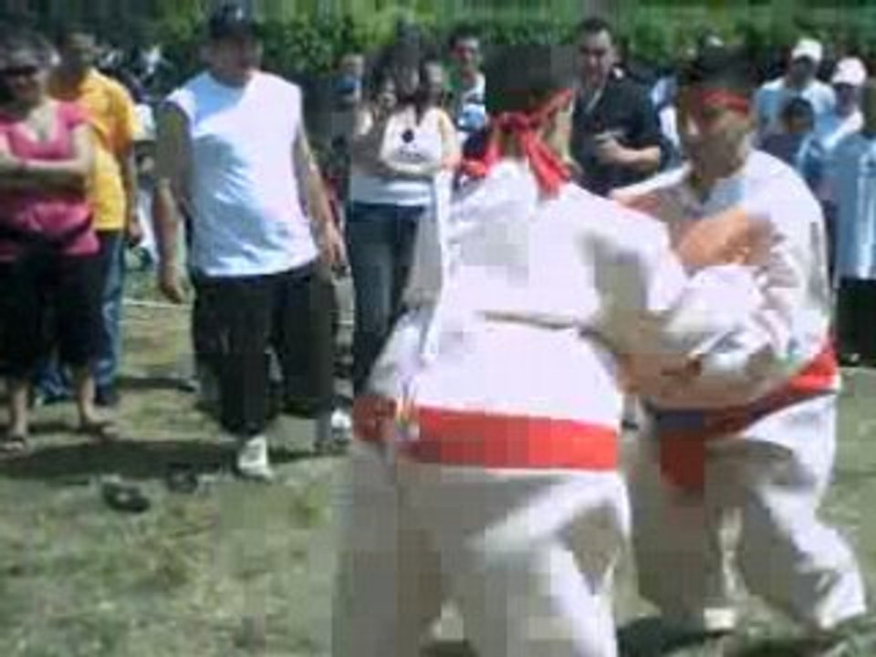 Greg Sumo 2