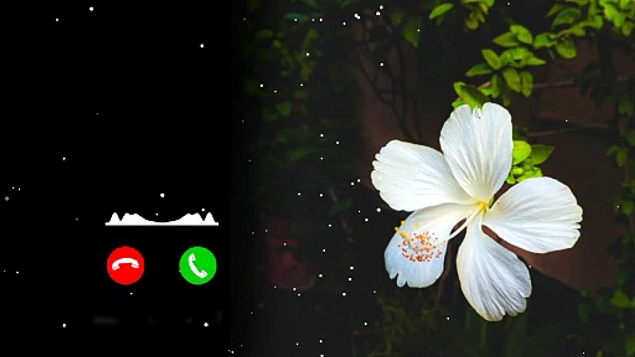 New Hindi ringtone  || BGM Ringtone|| hindi ringtone ||phone ringtone || attitude ringtone ||