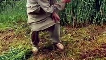 Super Satisfying Grass Cutting