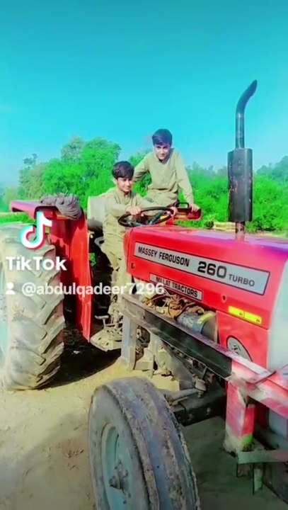 Punjabi mahol