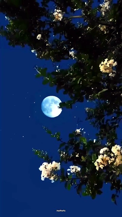 Indila- Love Story instrumental ❤️ The beauty and majestical nature at night 🌙 ✨️