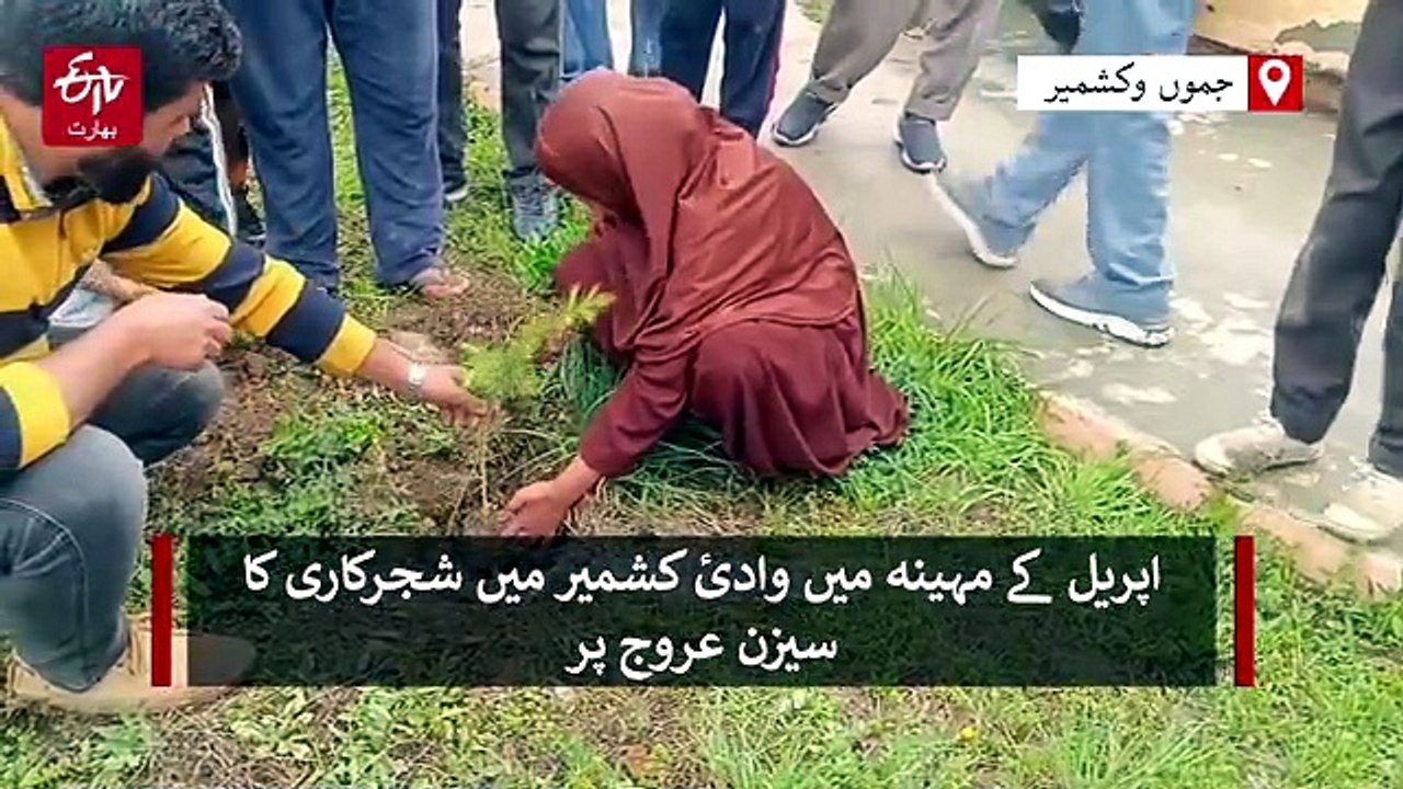 اونتی پورہ کے لارموہ میں میگا شجر کاری مہم کا آغاز
