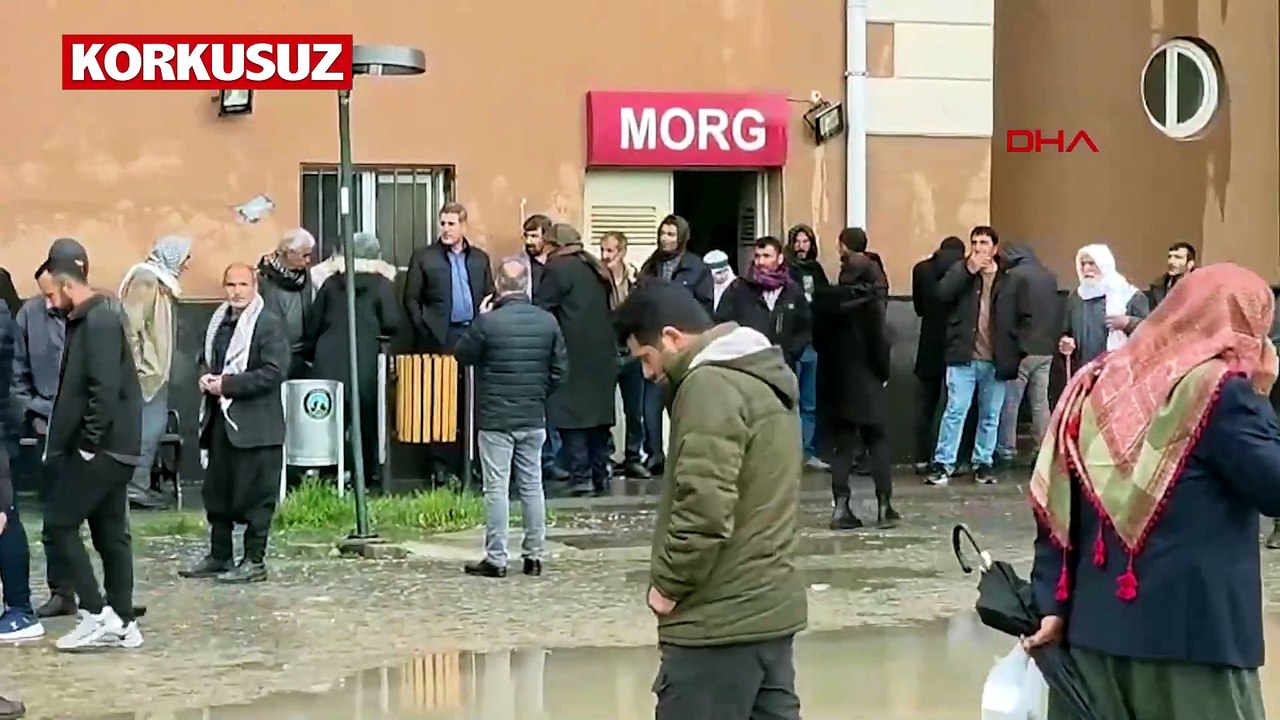 Diyarbakır'da okul bahçesinde ağaca yıldırım düştü: 2 çocuk hayatını kaybetti