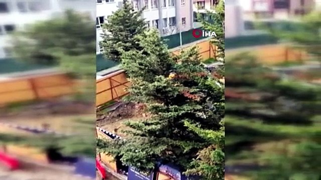 CHP’Lİ Üsküdar Belediyesi’nden çevre katliamına onay