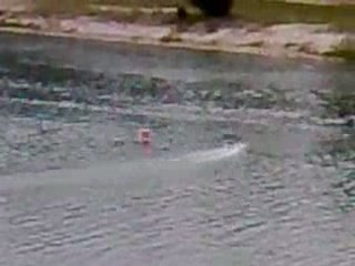 Fsr 7.5 cc 08 06 2008 pinoche .