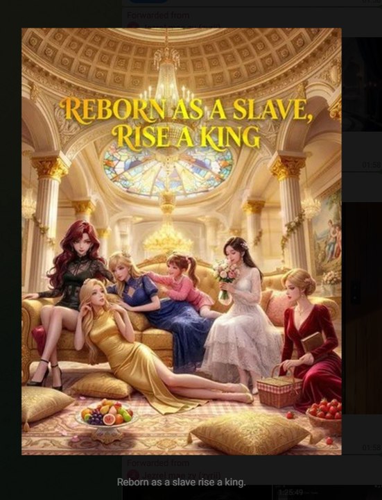 Reborn As A Slave Rise A King