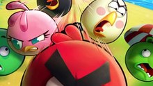 ANGRY BIRDE Bounce