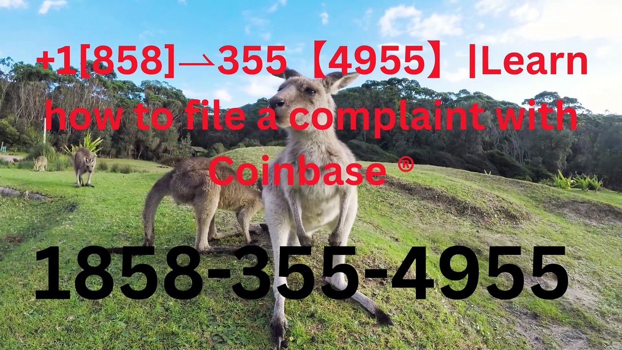 【Anytime⋉अ:Go!!】≋ ⁂  【Official LIST】[FULL GUIDE] COINBASE® CUSTOMER© SUPPORT℗ Phone Number (Official)