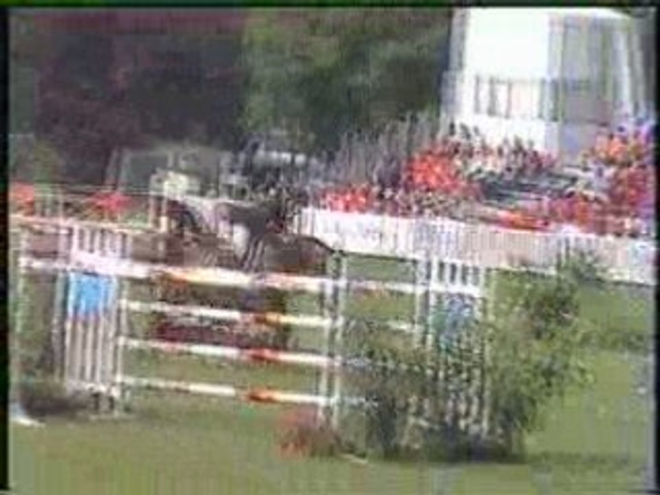 Timothée Anciaume/Laam de Fétan GP-2 Franconville 2008