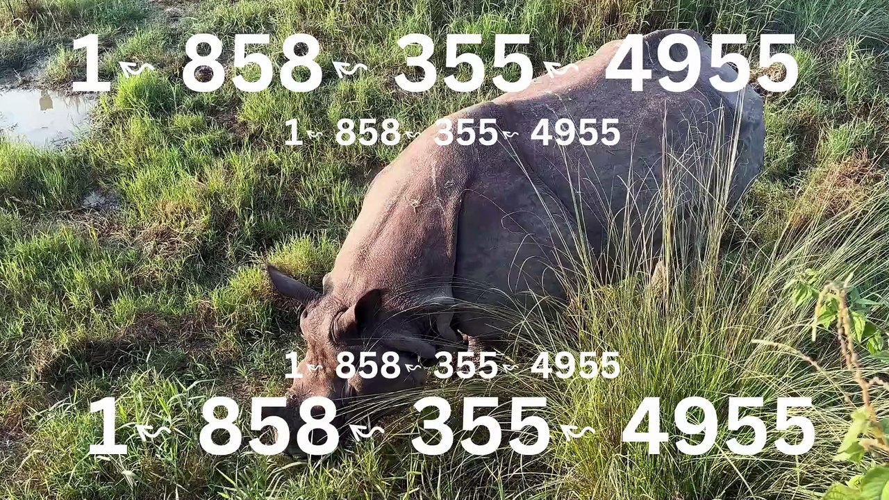 ♩♩♩【{FAQ}】☏C❣omplete™ Coinbase® Toll free© helpline® Numbers Contact⁂ (247) ⁂Live Person Care)