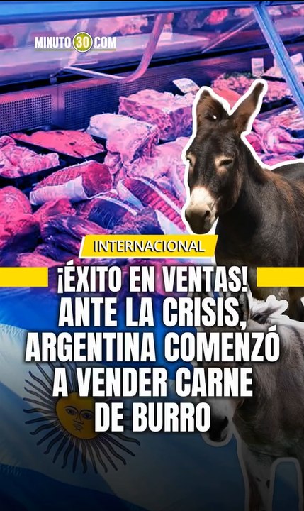 En Argentina se legalizó la venta de carne de burro como parte de una prueba piloto en la provincia de Chubut y el producto ¡voló de los estantes!