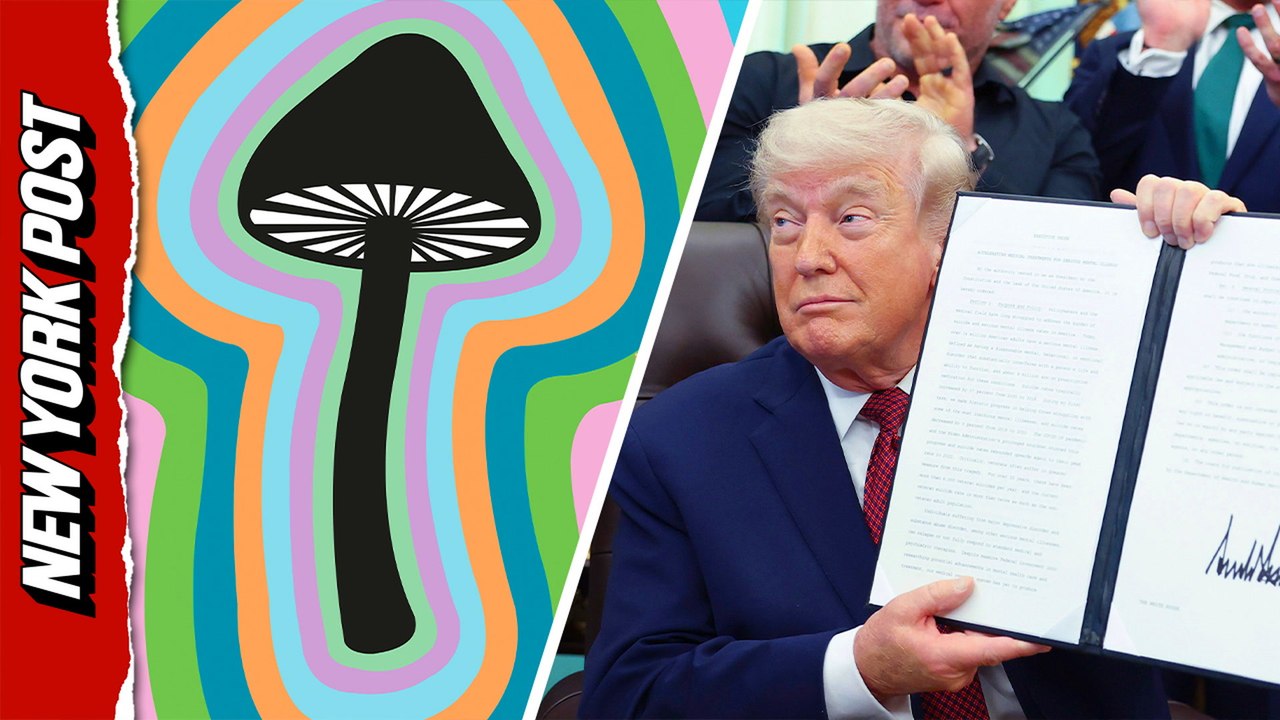 Trump fast tracks psychedelic drug research to treat veterans with PTSD