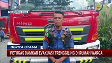Trenggiling Masuk Rumah Warga di Pekanbaru, Damkar Bergerak Cepat Lakukan Evakuasi