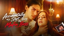Accidentally Slept With The Young Mafia Boss