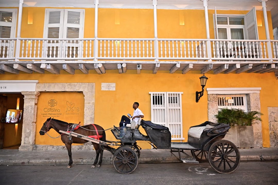 Colombia prohíbe la circulación de carruajes con caballos en Cartagena