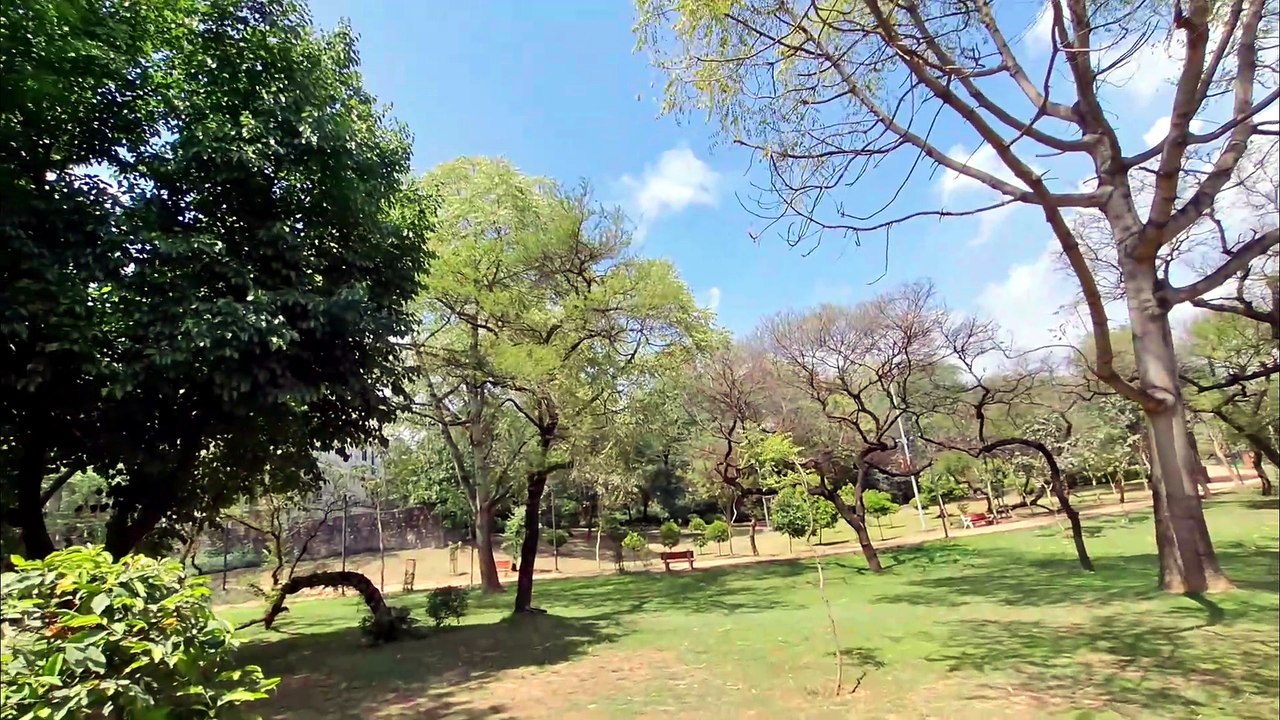 Walking Tales: The Hidden Serenity of Priya Park, Vasant Vihar 🌿