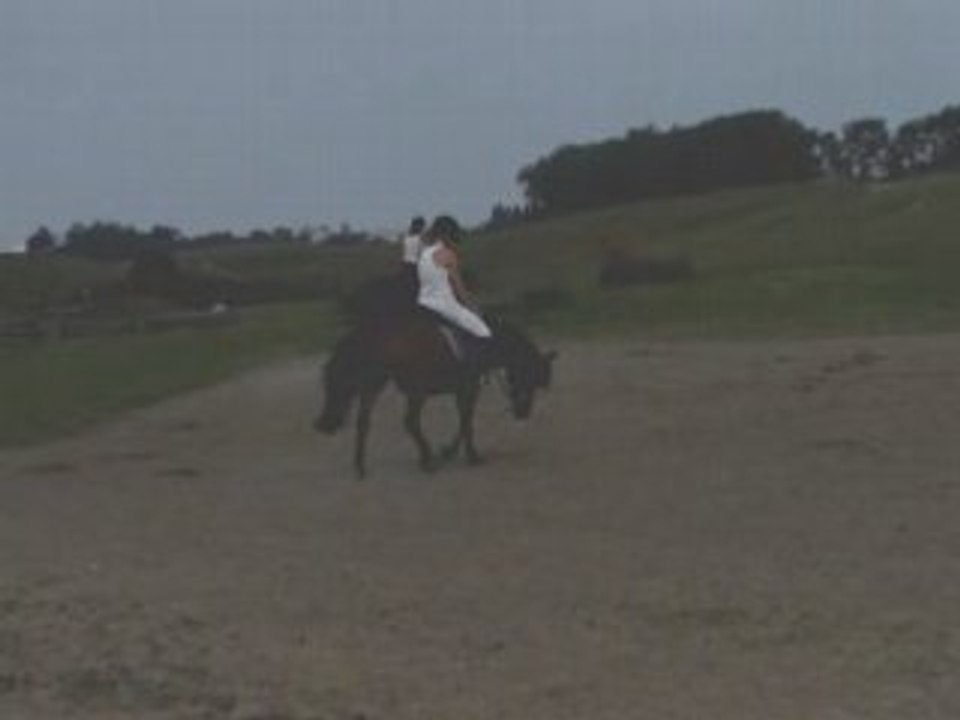 Fanny-lancelot_1