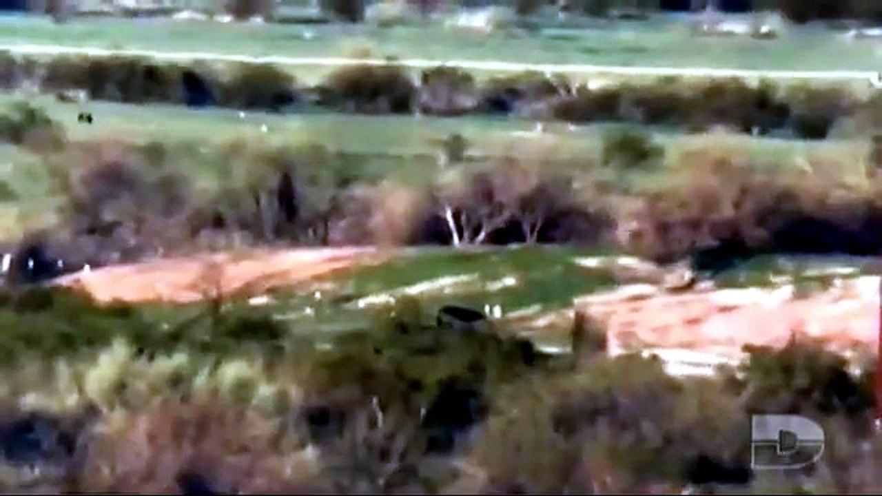 PARANORMAL SUR LE VIF  5     2026