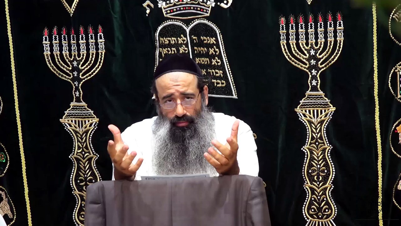 כוונות נענועי הלולב - שיעור 1 | הולכה והובאה
