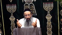 כוונות נענועי הלולב - שיעור 1 | הולכה והובאה