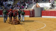 VIDEO RESUMEN GRAN FINAL XII ALFARERO DE PLATA 2026