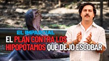Emergencia ambiental en Colombia: El fin de los hipopótamos de Escobar