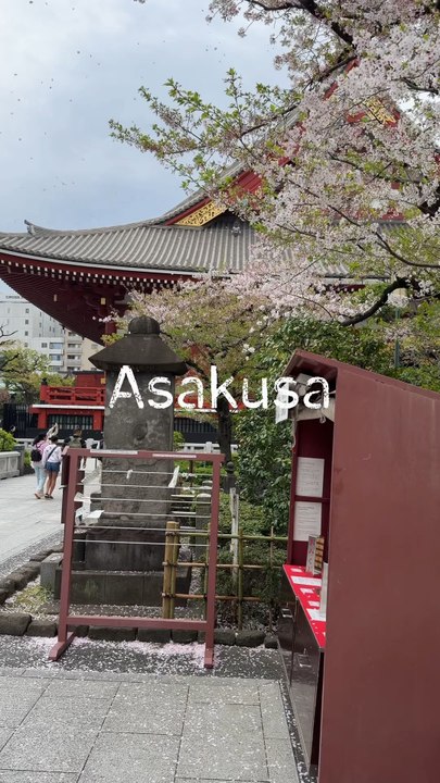 Épisode 2 - Skin care sous les pétales du Sakura malade