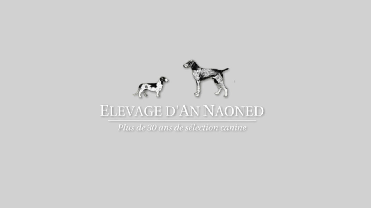 Mon Portfolio