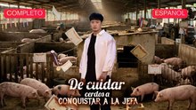 De Cuidar Cerdos A Conquistar A La Jefa VersióN Completo - Doblada al español | Película Full HD