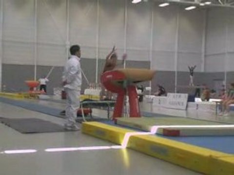 Stellia saut final de zone rouen 08 criterium uscgym crepy