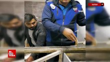 Kötü koku üzerine girilen evde mide bulandıran şartlarda lokum ve cezerye üretildiği ortaya çıktı