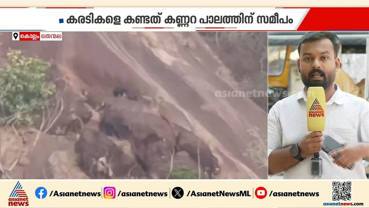 കുടുംബസമേതം കരടിക്കൂട്ടം; കൊല്ലം തെന്മലയിൽ വനമേ...