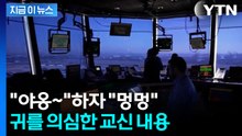 동료 제지에도 "야옹·멍멍"...얼 빠진 조종사들의 최후 [지금이뉴스] / YTN