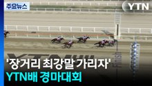 '장거리 최강말 가리자'...YTN배 경마대회 / YTN