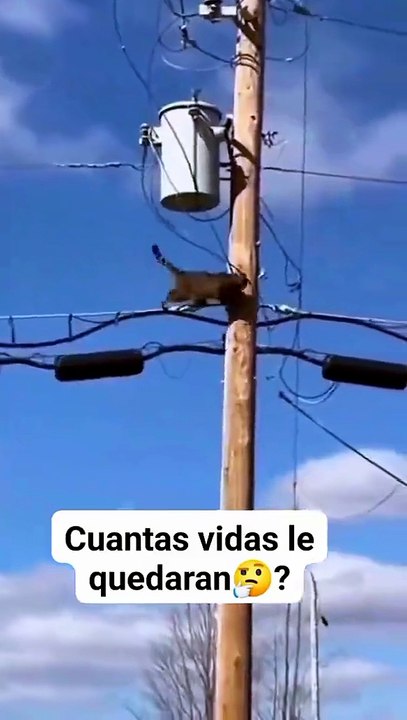 Funny Video – Perfect Timing 😂