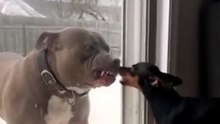 Epic Fail That Will Make You Laugh