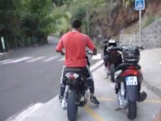 nitroconcept patanegra 974 (1)