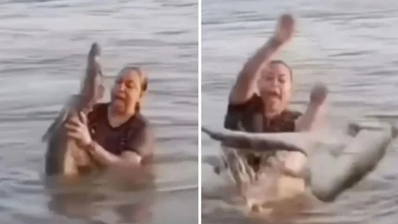 Scambia un tronco per un oggetto galleggiante, poi l’urlo: era un coccodrillo