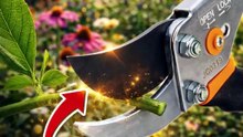 Fiskars Bypass Pruning Shears 🌿✂️ | Sharp Garden Clippers Review