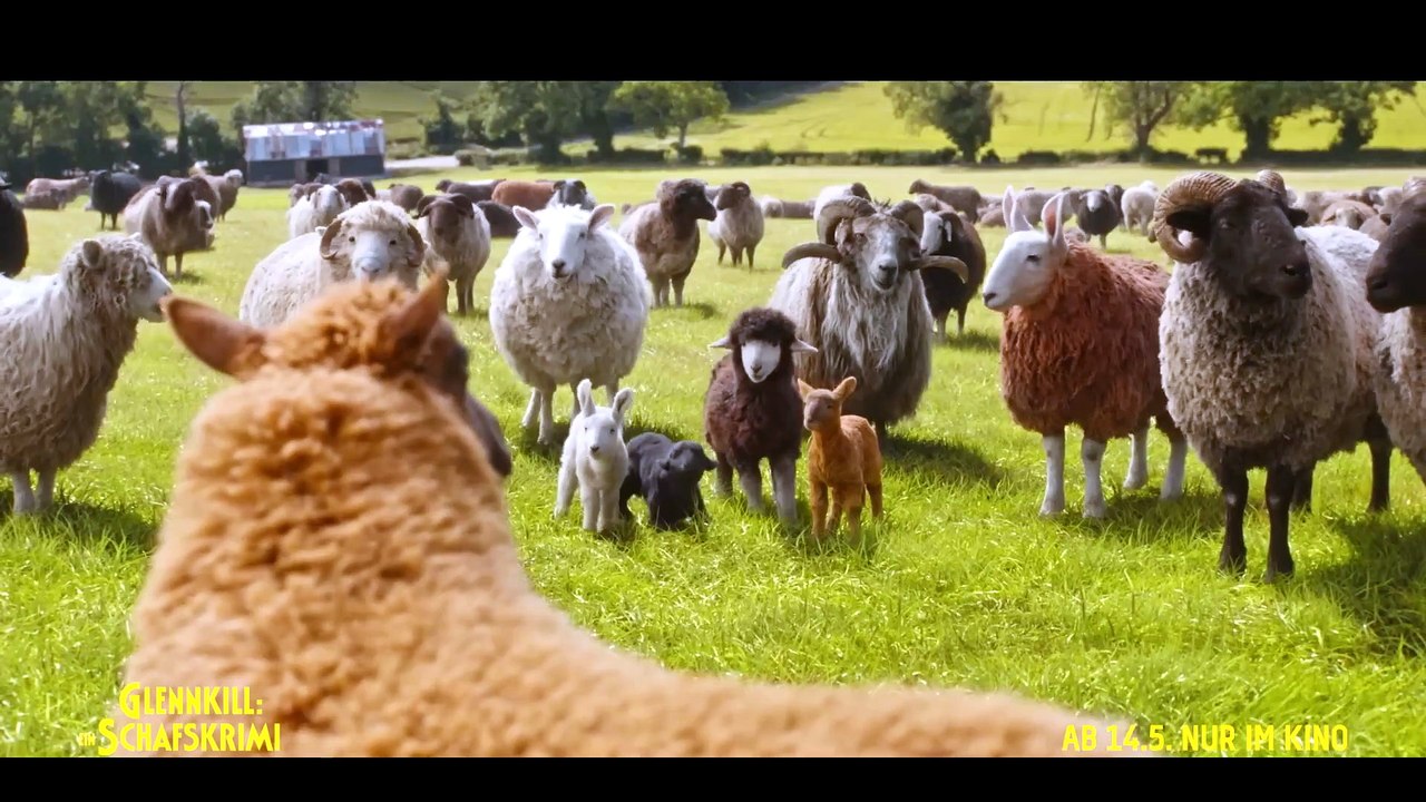 Glennkill Ein Schafskrimi Film