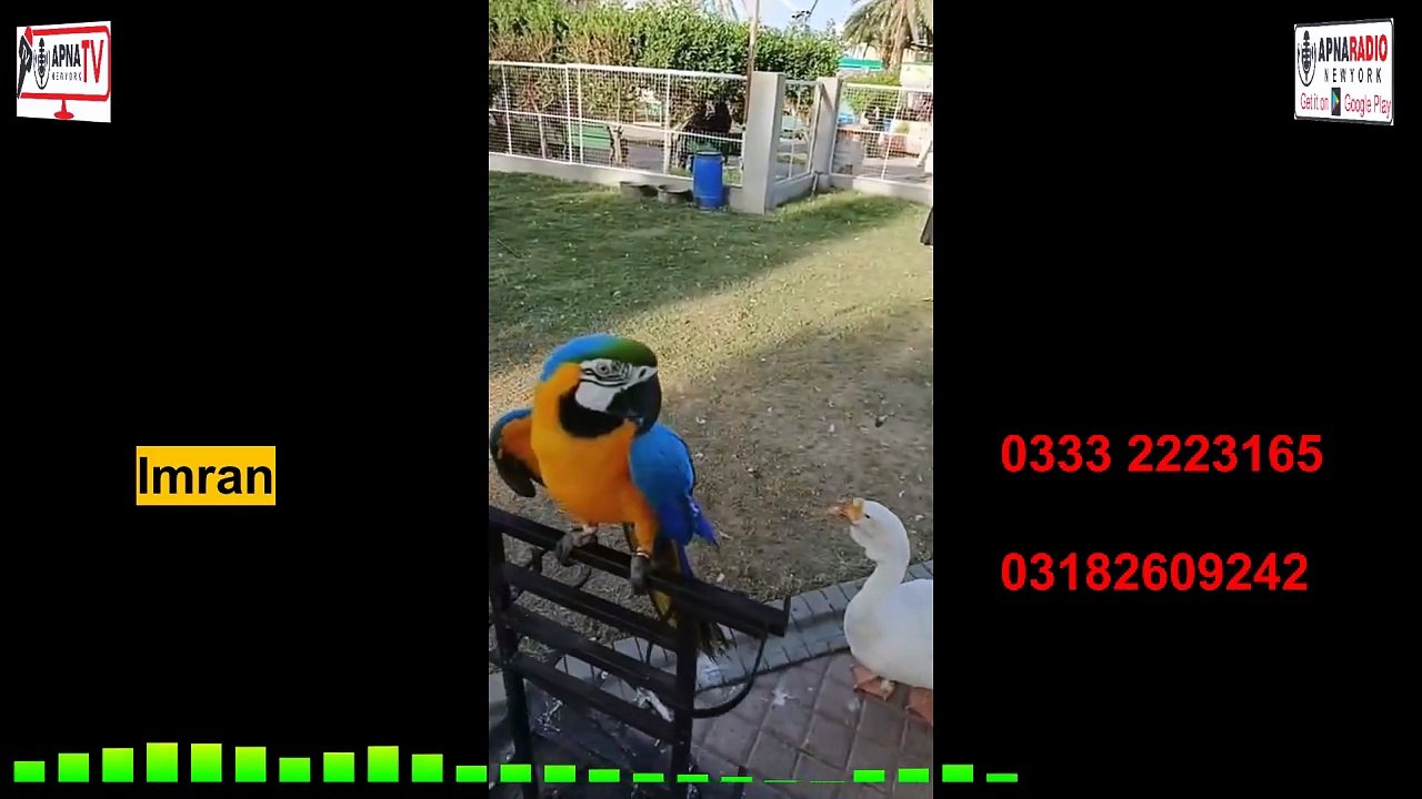 Mini Zoo Adventure Korangi 3.5 | Family Visit & Animals Fun in Karachi 🐾 19-04-2026