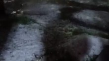 granizo en Santa Rosa