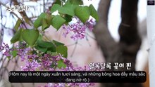 Hangout with Yoo (How Do You Play) Episode 326