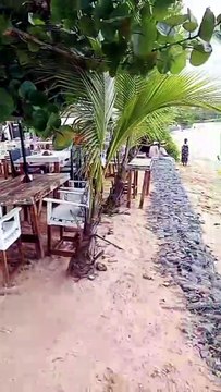 PLAYA PUNTA POPI MUNICIPIO DE LAS TERRENAS PROVINCIA SAMANA REGION NOROESTE REPUBLICA DOMINICANA