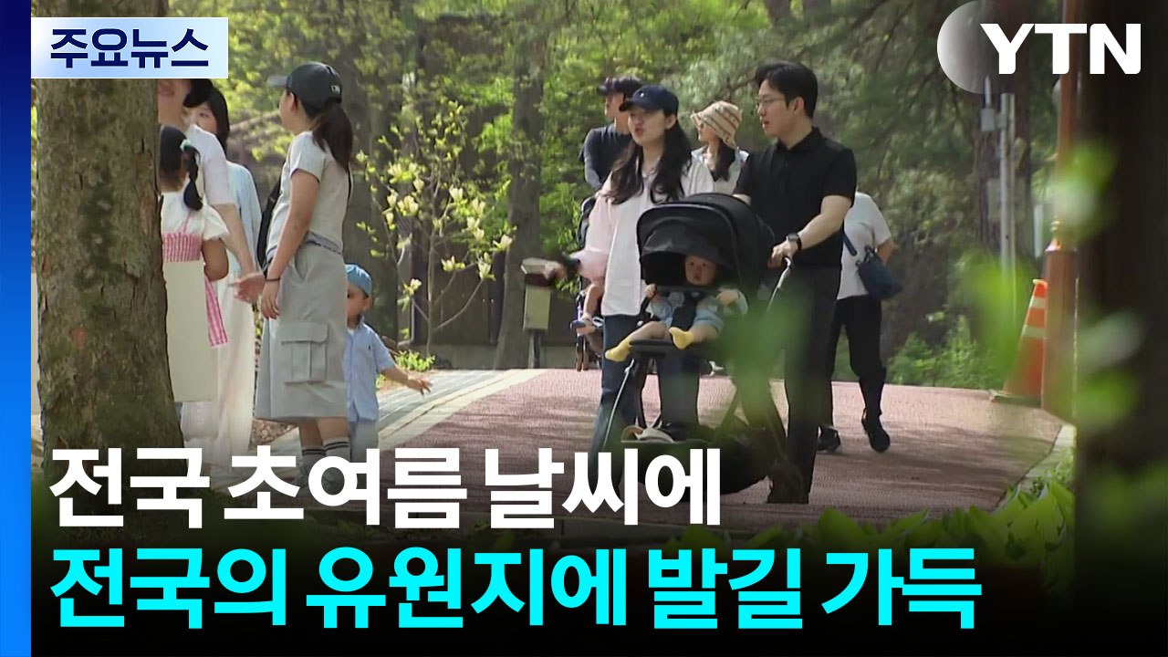 전국 초여름 날씨에 '꽃밭'과 '동물원'마다 발길 가득 / YTN