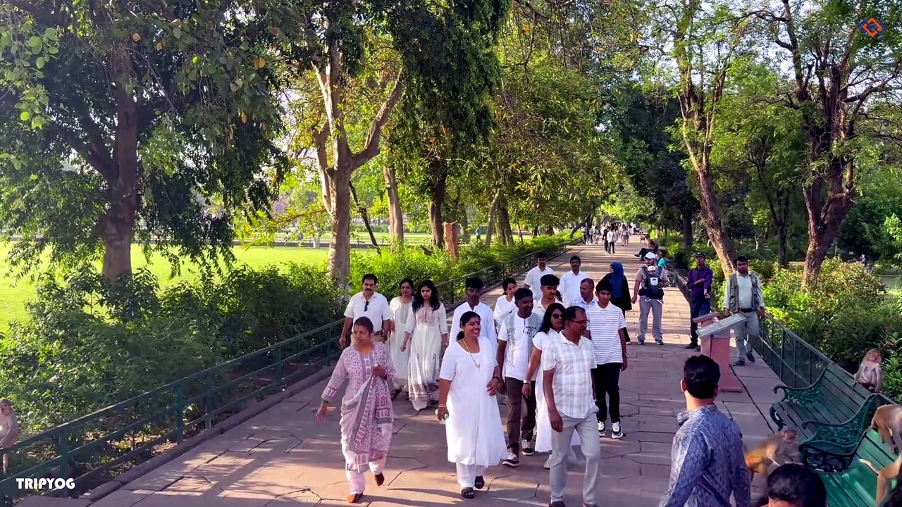 Exploring the Golden Triangle  | Namma Bengaluru Group Tour with Tripyog!