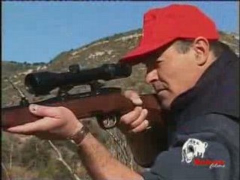 CHASSE DU SANGLIER DANS LES PYRENEES