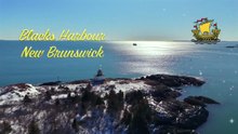 🌎Blacks Harbour New Brunswick Winter | Frozen Bay of Fundy Drone (4K)🇨🇦
