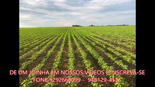 FAZENDA COM 1017 ALQUEIRÃO A VENDA CMC