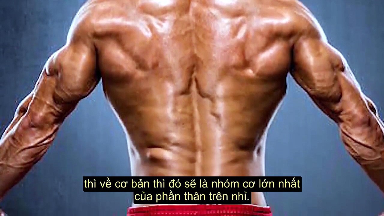 Nhóm cơ lớn nhất ở phần thân trên Không phải thứ mà mọi người thường nghĩ